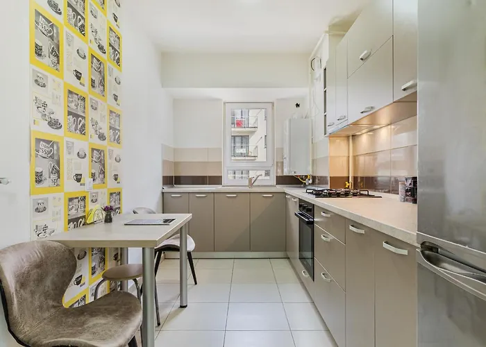 Johnny Baloney * Brasov